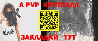 хмурый Кингисепп