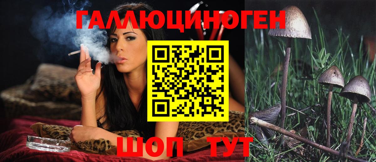 Псилоцибиновые грибы Magic Shrooms  Галлюциногенные грибы Psilocybine cubensis  Вход с VPN  Каменка 
